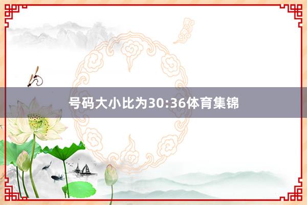 号码大小比为30:36体育集锦