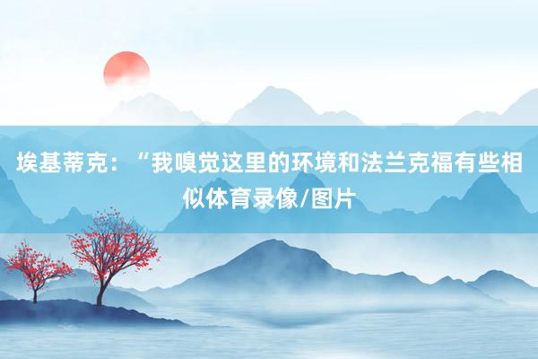 埃基蒂克：“我嗅觉这里的环境和法兰克福有些相似体育录像/图片