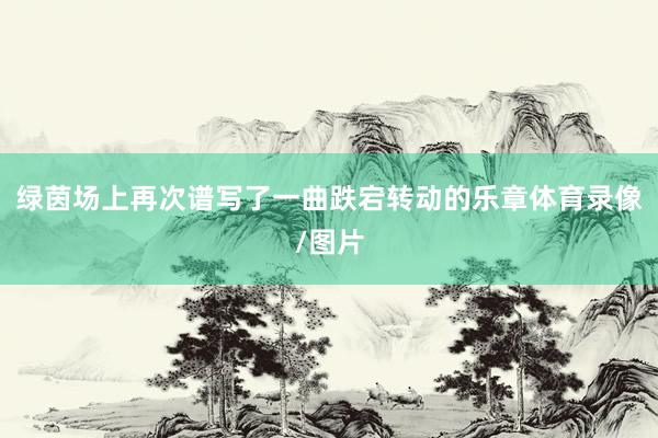 绿茵场上再次谱写了一曲跌宕转动的乐章体育录像/图片