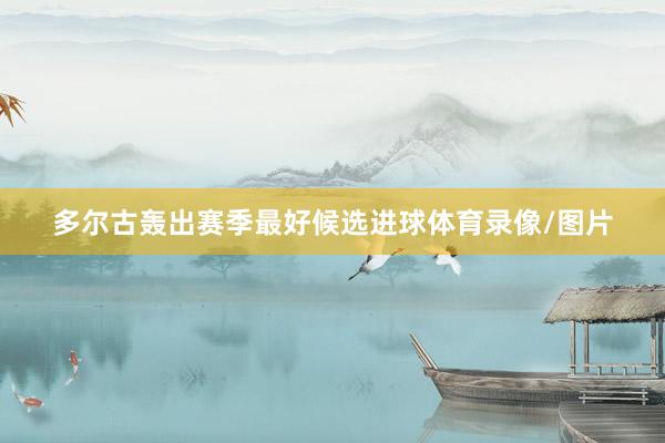 多尔古轰出赛季最好候选进球体育录像/图片
