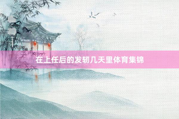 在上任后的发轫几天里体育集锦