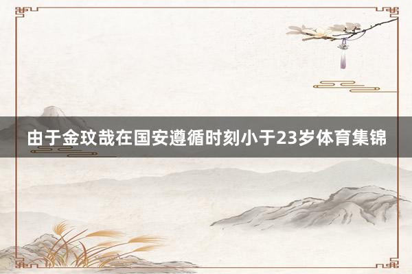 由于金玟哉在国安遵循时刻小于23岁体育集锦