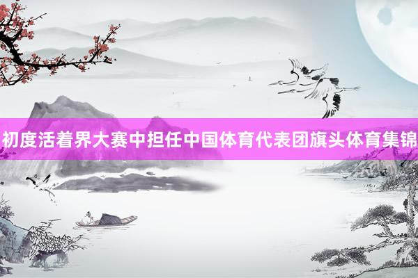初度活着界大赛中担任中国体育代表团旗头体育集锦
