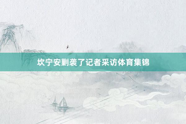 坎宁安剿袭了记者采访体育集锦
