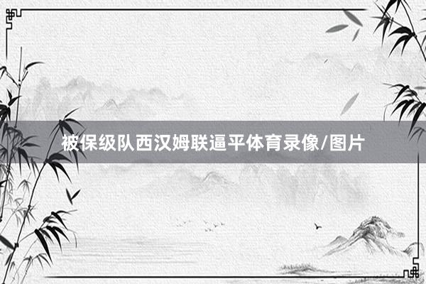 被保级队西汉姆联逼平体育录像/图片