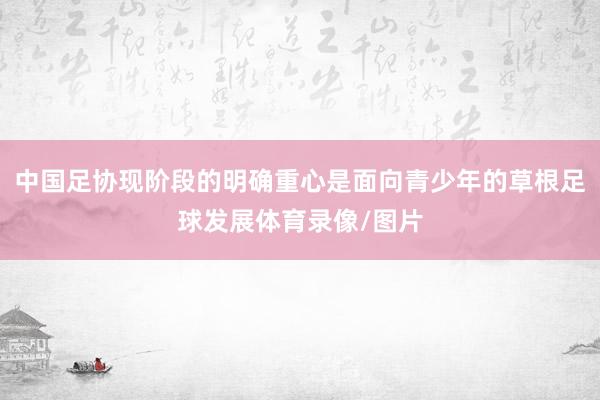 中国足协现阶段的明确重心是面向青少年的草根足球发展体育录像/图片