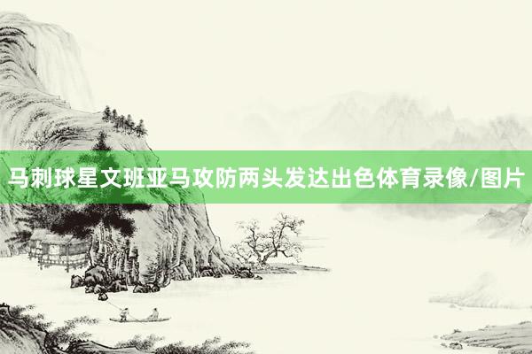 马刺球星文班亚马攻防两头发达出色体育录像/图片