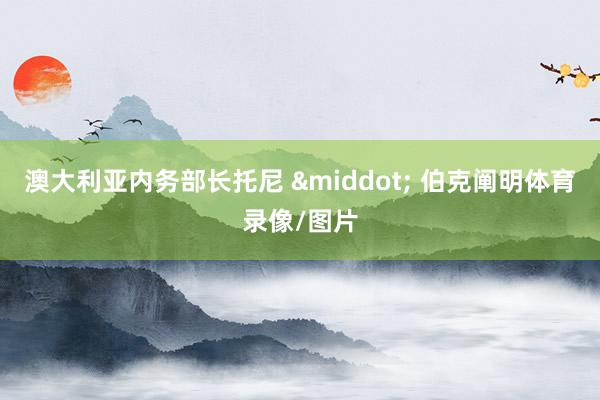 澳大利亚内务部长托尼 &middot; 伯克阐明体育录像/图片