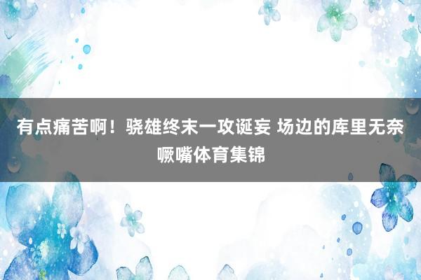 有点痛苦啊！骁雄终末一攻诞妄 场边的库里无奈噘嘴体育集锦