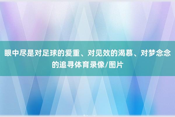 眼中尽是对足球的爱重、对见效的渴慕、对梦念念的追寻体育录像/图片