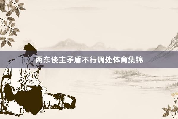 两东谈主矛盾不行调处体育集锦