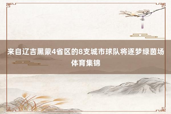来自辽吉黑蒙4省区的8支城市球队将逐梦绿茵场体育集锦