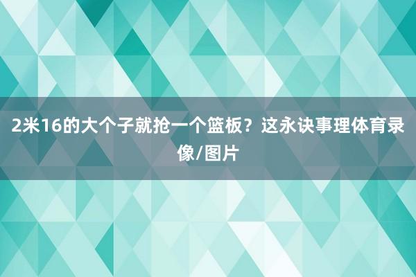 2米16的大个子就抢一个篮板?这永诀事理体育录像/图片