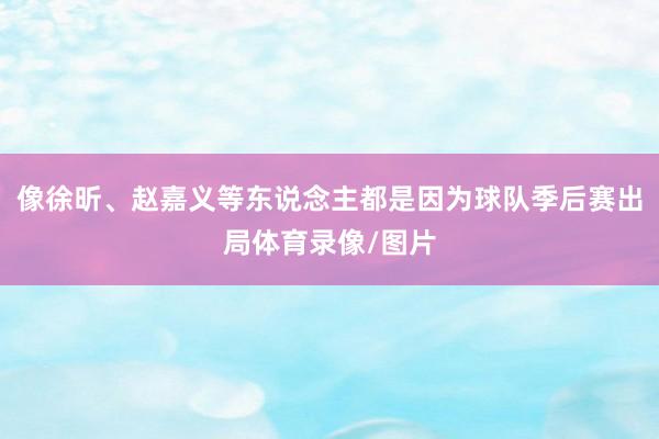 像徐昕、赵嘉义等东说念主都是因为球队季后赛出局体育录像/图片