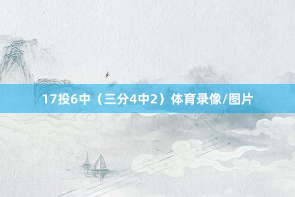 17投6中(三分4中2)体育录像/图片