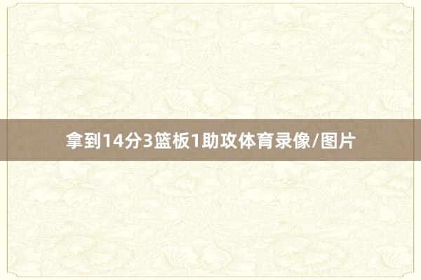 拿到14分3篮板1助攻体育录像/图片