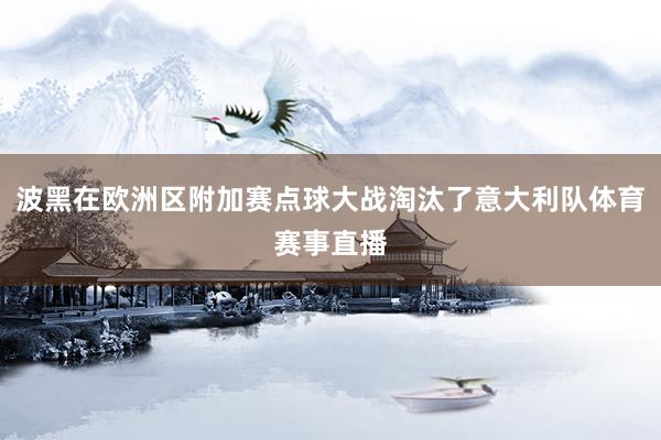 波黑在欧洲区附加赛点球大战淘汰了意大利队体育赛事直播