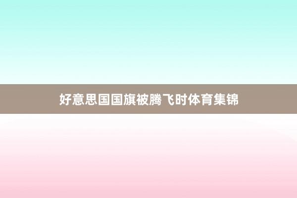 好意思国国旗被腾飞时体育集锦