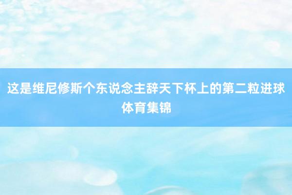 这是维尼修斯个东说念主辞天下杯上的第二粒进球体育集锦